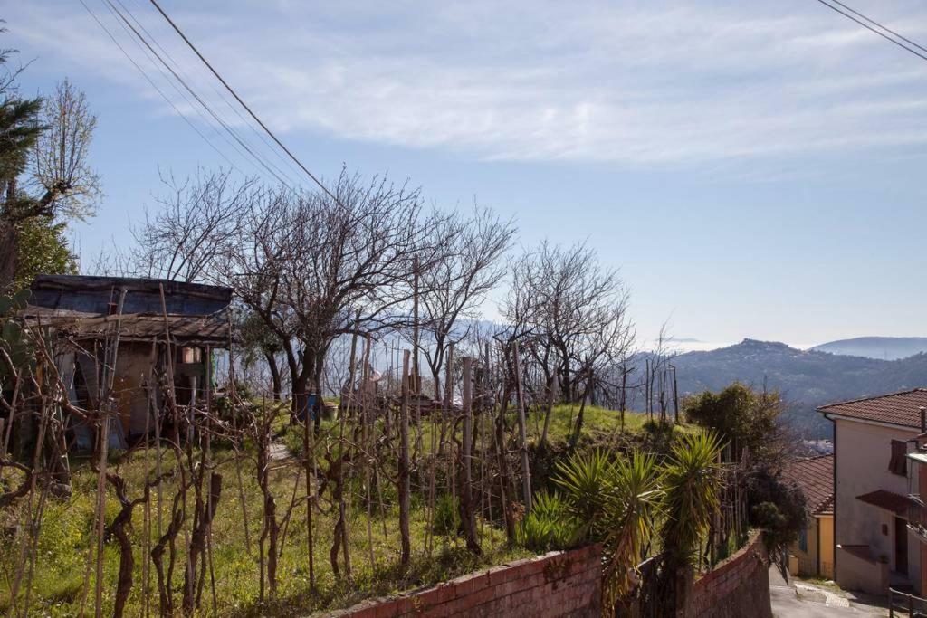 Follo Alto Casa Sterinellaヴィラ エクステリア 写真